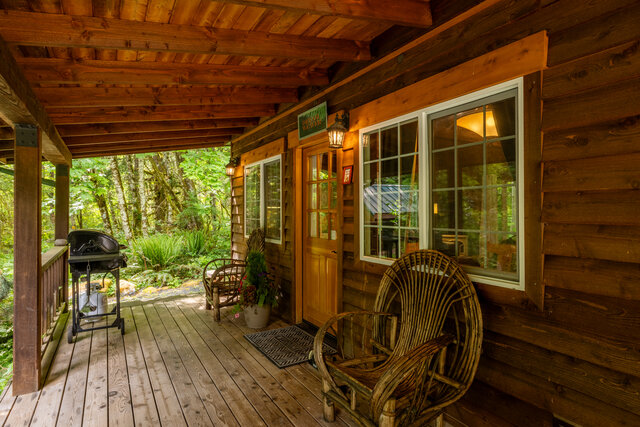 Image 3 for Dream Weaver at Mt Rainier