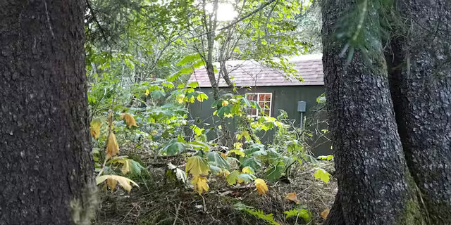 Image 16 for Denali Cabin