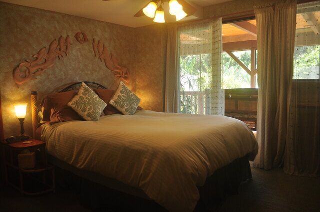 Image 1 for Nai'a Room