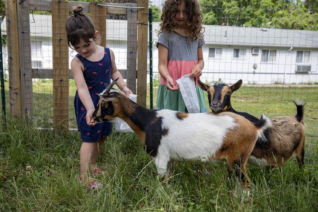 Image 7 for Deluxe Queen