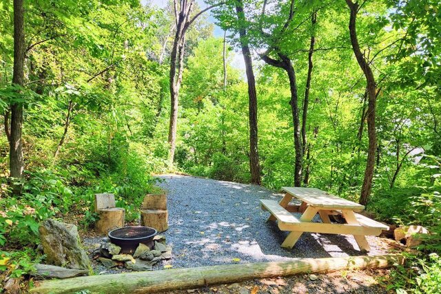 Coralberry Campsite (C) at Love Ridge featuring a picnic table, fire pit, and rustic log seating, nestled in the shade of the forest. A peaceful retreat for campers seeking privacy and connection wit