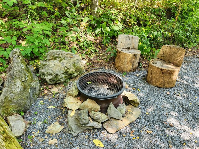 Image 2 for Coralberry Campsite (C)