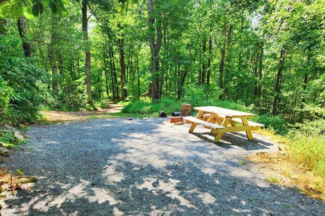 Harpers Vista Campsite (F) at Love Ridge featuring a picnic table and fire pit, surrounded by lush green forest. This peaceful spot offers easy access to nearby trails and a serene escape in the Blue