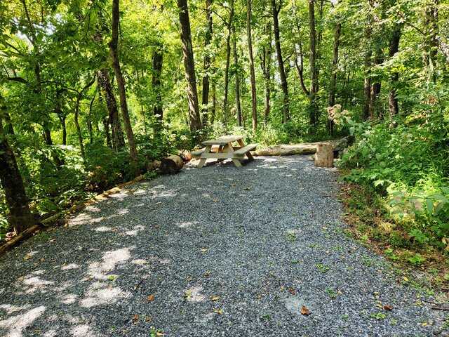 Image 3 for Coralberry Campsite (C)