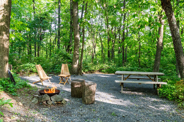 Image 3 for Hemlock Glamping Tent  (H)