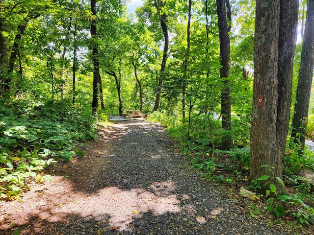 Image 4 for Coralberry Campsite (C)