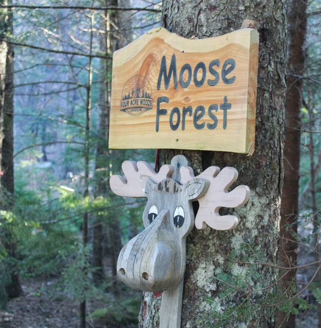 Image 12 for Moose Forest (20amp Hookup)