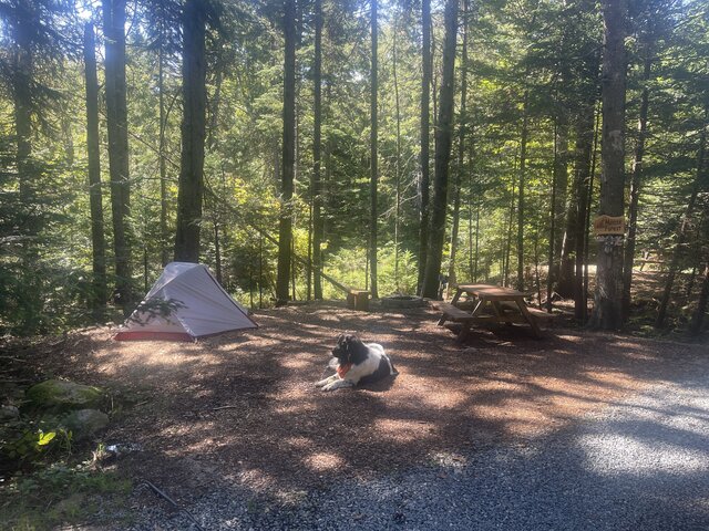 Image 2 for Moose Forest (20amp Hookup)