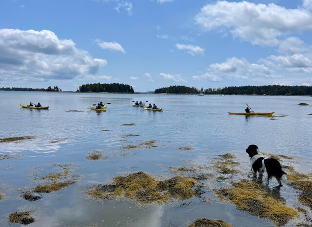 Image 1 for Osprey's Echo Sea Kayaking Tour