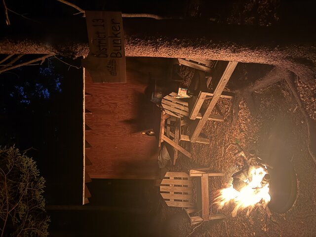Image 6 for Secluded Queen Cabin Retreat