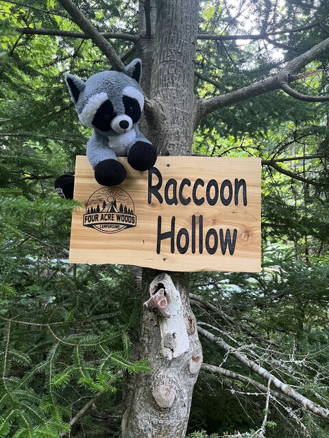 Image 2 for Raccoon Hollow (20amp Hookup)