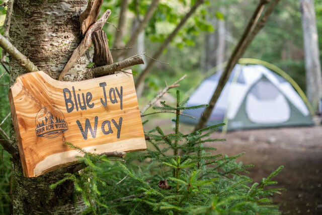 Image 1 for Blue Jay Way (20amp Hookup)