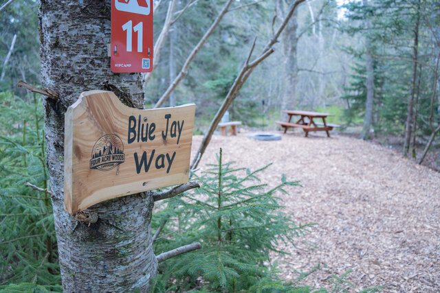 Image 3 for Blue Jay Way (20amp Hookup)