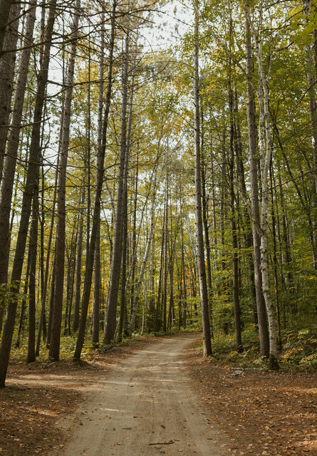 Image 18 for 76) Forest View  Back-in | RV Water Only