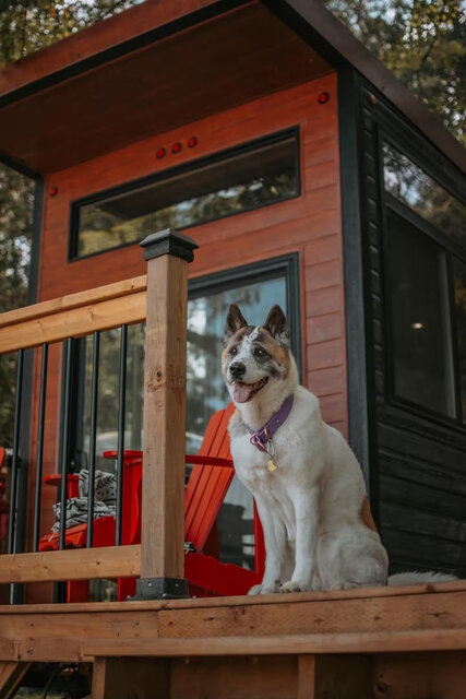 Image 2 for Tiny Cottage Mountain View