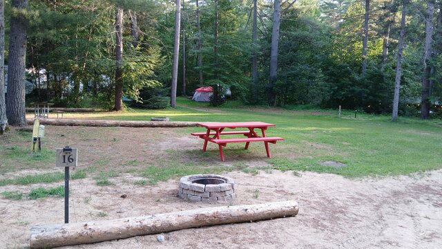 Image 1 for 16) Forest View Back-in | RV Hydro & Water