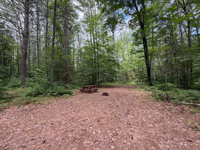 Image 1 for Site #93 | Tent Site | Water Only