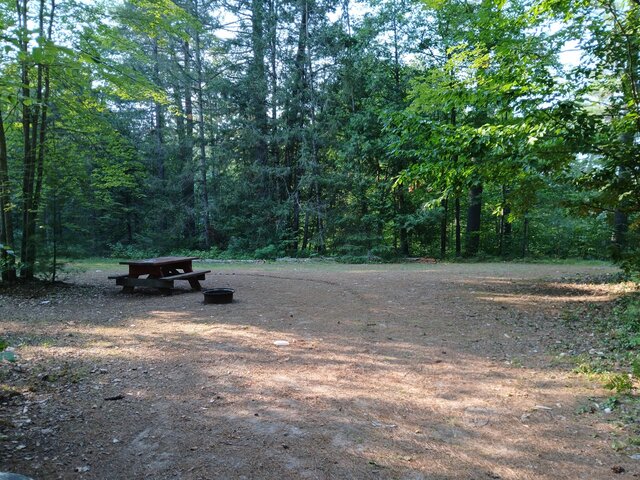 Image 1 for 75) Forest View  Back-in | RV Water Only