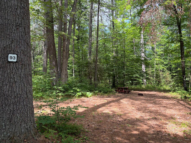Image 2 for Site #93 | Tent Site | Water Only
