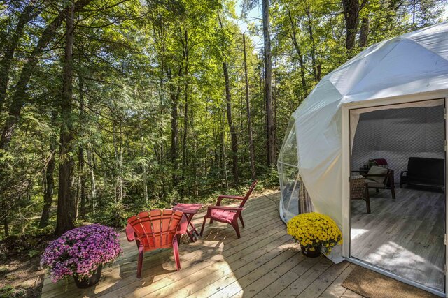 Image 4 for Geodesic Hillside Dome