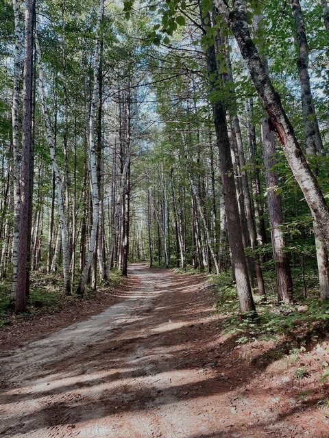 Image 19 for 77) Forest View Back-in | RV Water Only