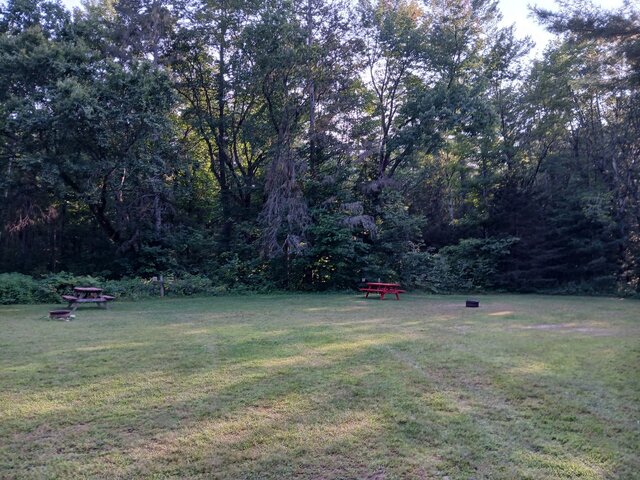 Image 1 for 78) Forest View  Back-in | RV Water Only