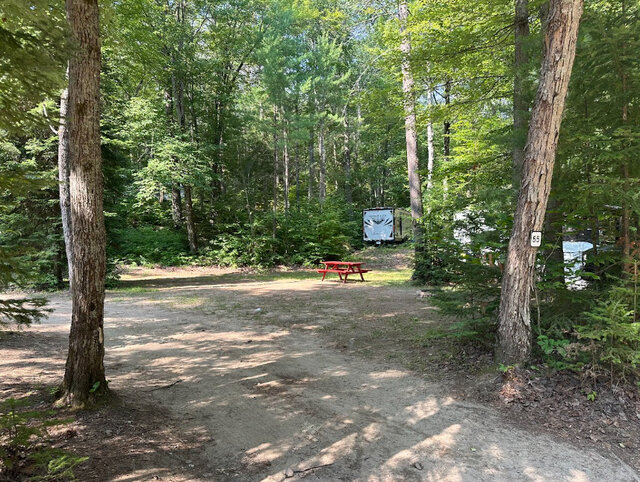 Image 1 for 56) Forest View Back-in | RV Hydro & Water