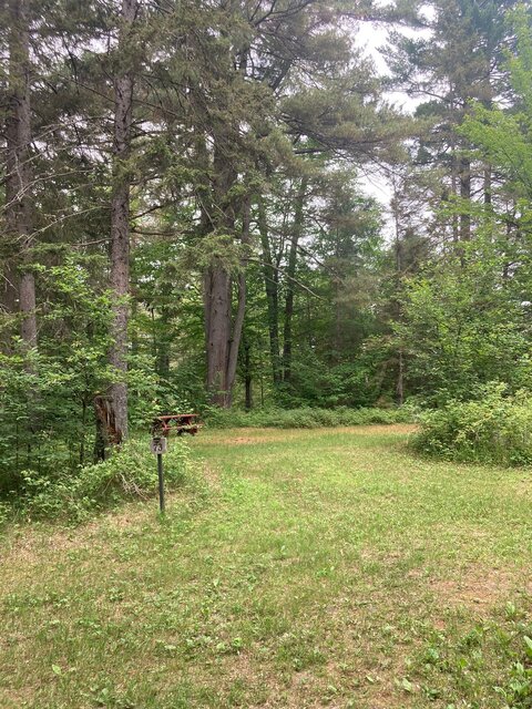 Image 1 for 73) Forest View  Back-in | RV Water Only