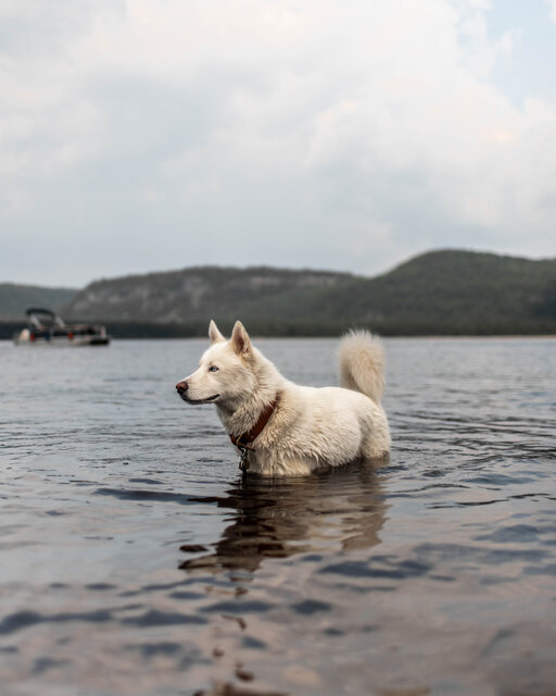 Image 14 for 15) Forest View Back-in | RV Hydro & Water