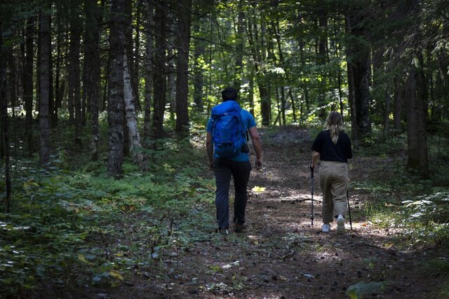 Image 2 for 56) Forest View Back-in | RV Hydro & Water