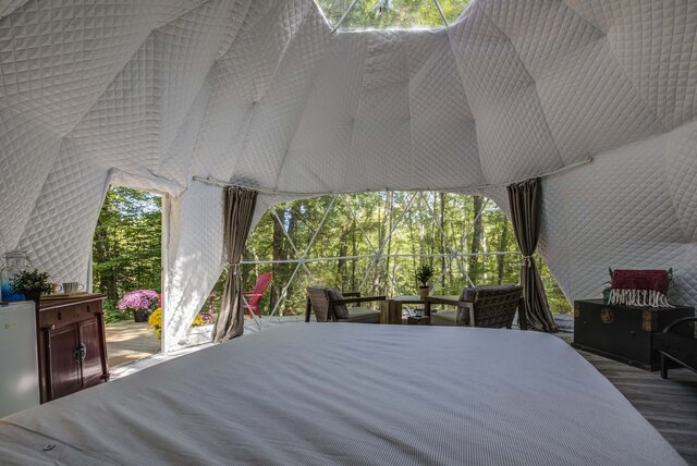 Image 7 for Geodesic Hillside Dome