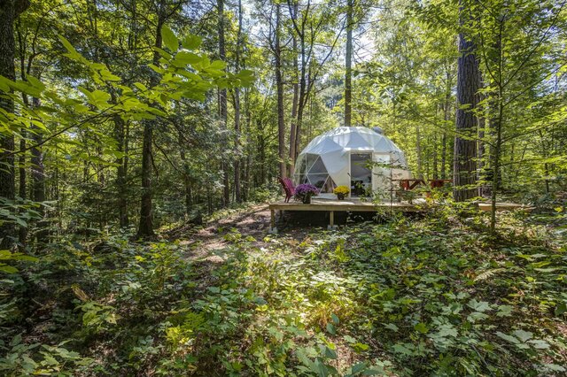 Image 3 for Geodesic Hillside Dome