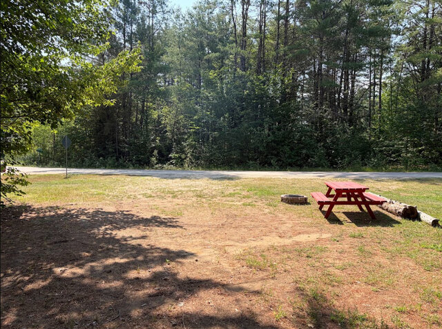 Image 1 for 2) Forest View  Back-in | RV Hydro & Water