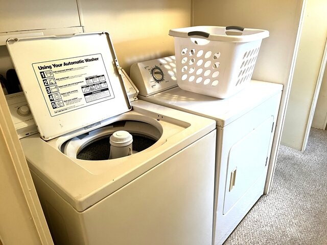 Image 11 for toussaint