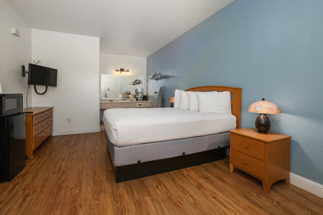 Image 1 for Economy 1 Queen ( Pet Friendly )