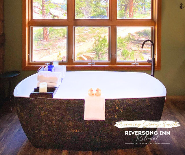 Image 2 for Morning Glory