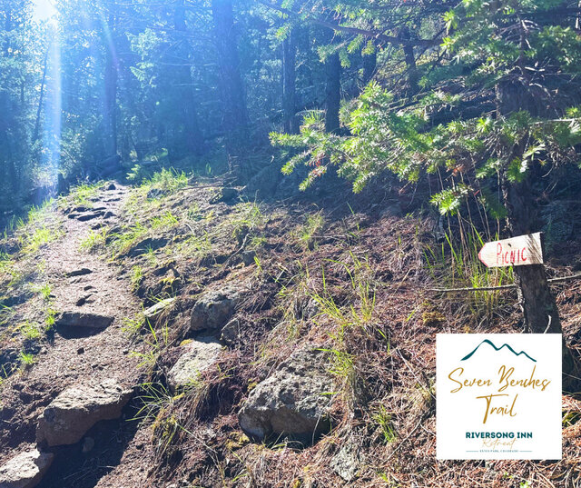 Image 3 for Standard Picnic Backpack for Lunch - Ready at 10am