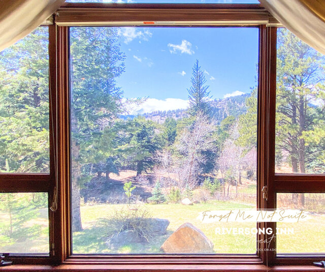 Image 14 for Forget Me Not