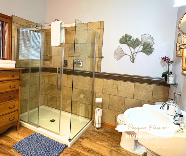 Image 3 for Pasque Flower