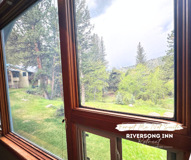 Image 9 for Forget Me Not