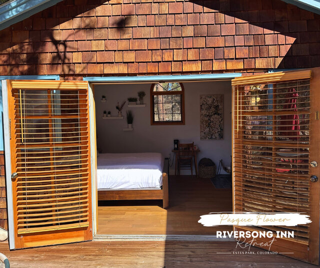 Image 2 for Pasque Flower