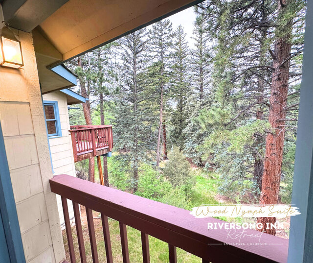 Image 8 for Wood Nymph