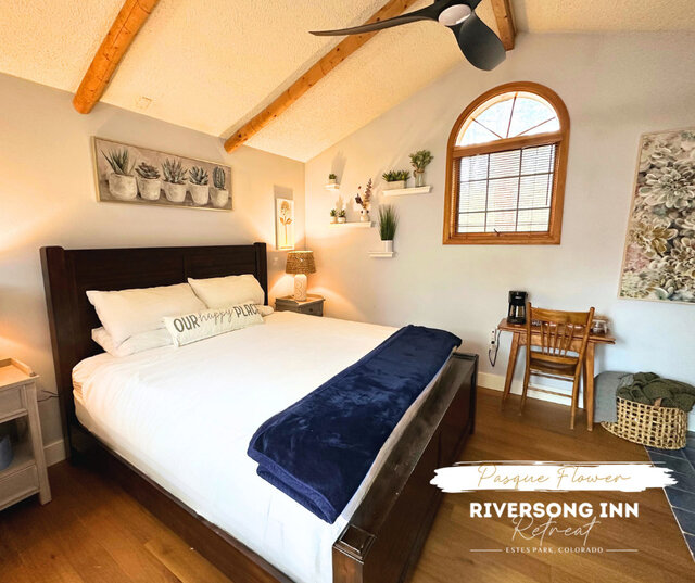 Image 7 for Pasque Flower