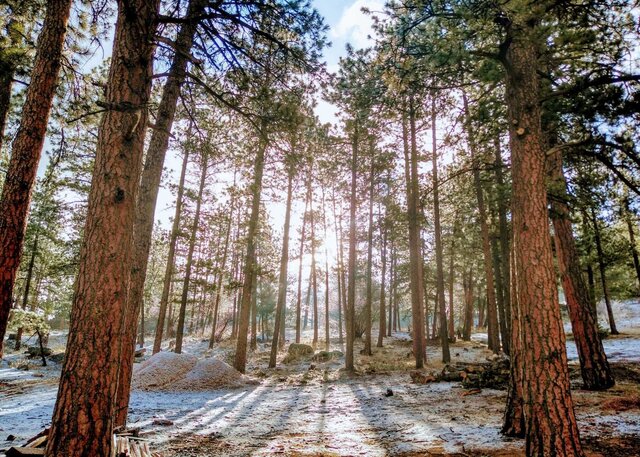 Image 19 for Wedding Packages - Reserve Your Date & Time