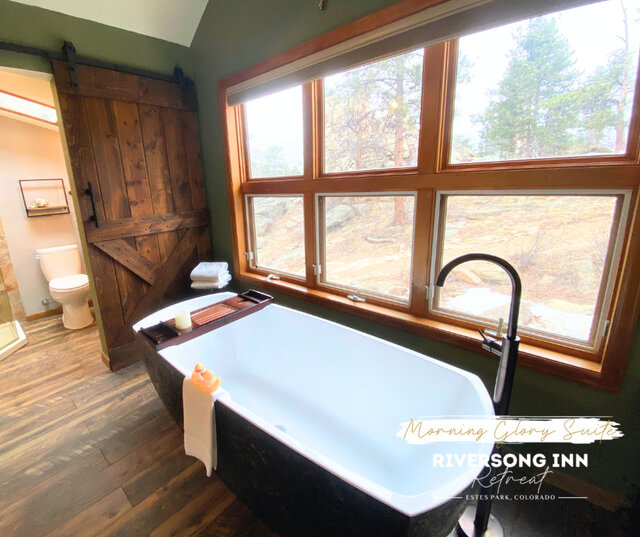 Image 12 for Morning Glory