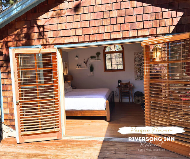 Image 5 for Pasque Flower