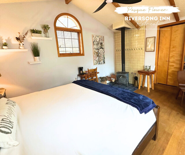 Image 9 for Pasque Flower