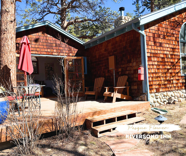 Image 4 for Pasque Flower