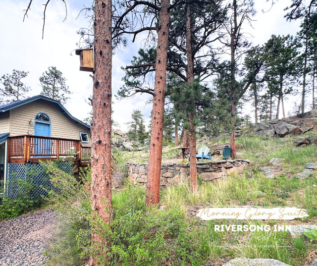 Image 15 for Morning Glory