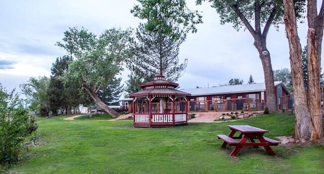 Plenty of green grass in front of your patio for exercise and socializing 